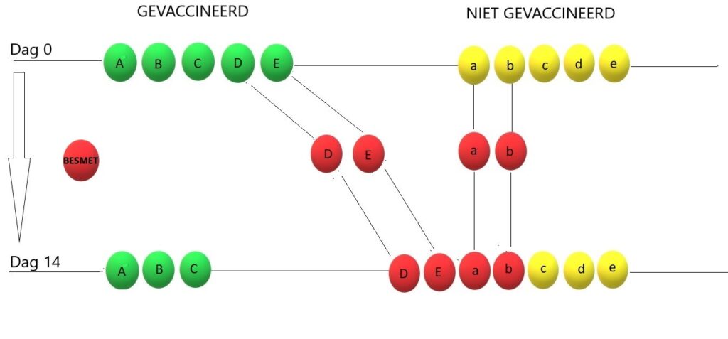 Berekening effectiviteit vaccinatie bepaald door statistische keuzes - 27881