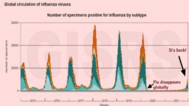 Denk maar niet dat we het virus kunnen sturen! - 31262