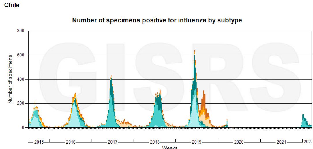 The magical return of the flu and the reason behind it