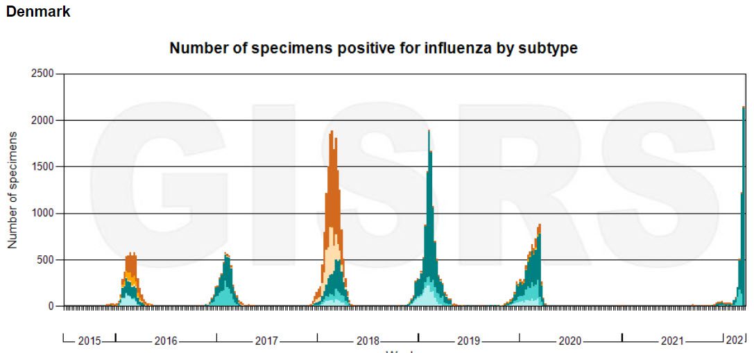 The magical return of the flu and the reason behind it