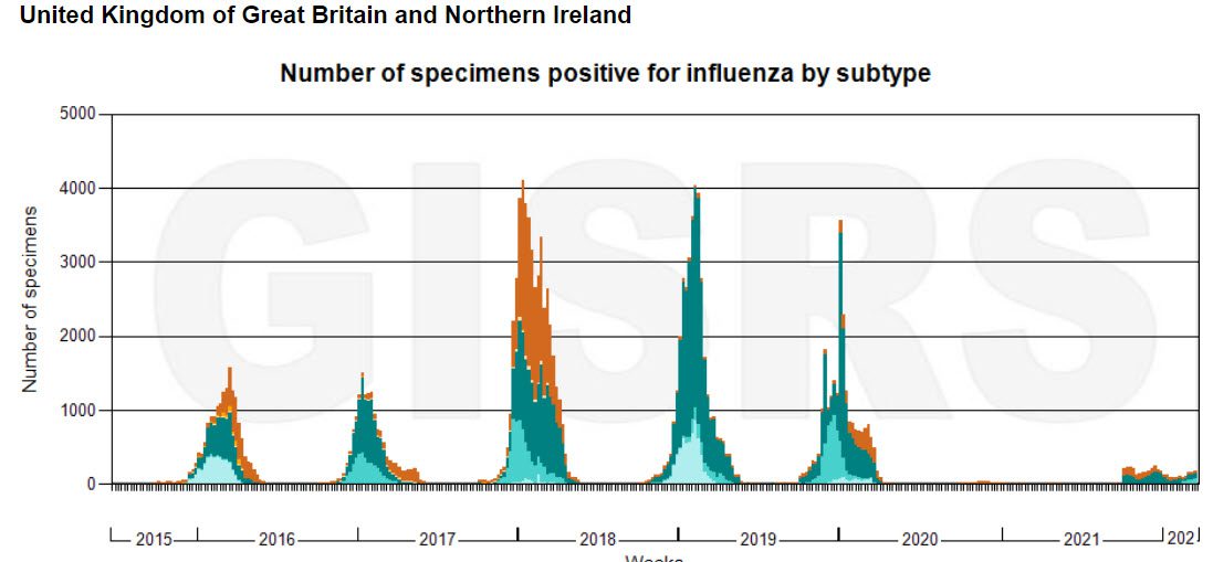 The magical return of the flu and the reason behind it