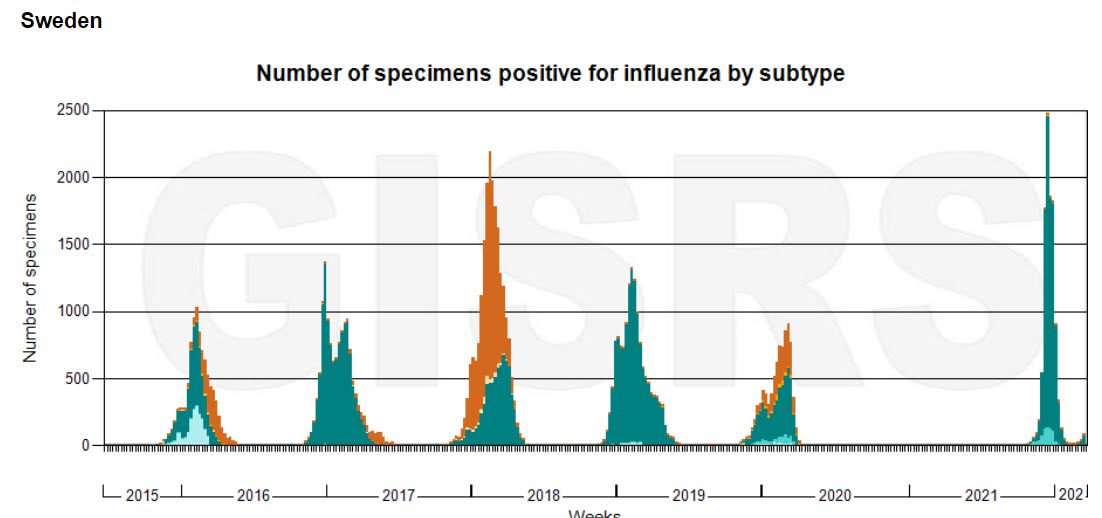 The magical return of the flu and the reason behind it