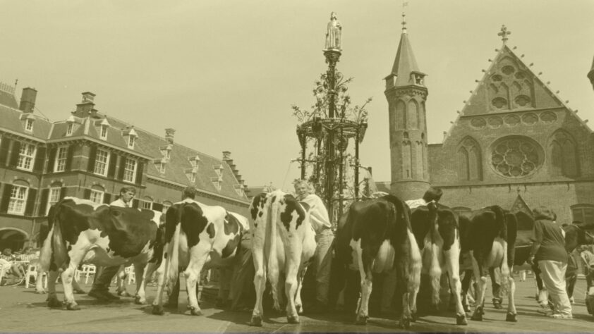 Koehandel op het Binnenhof om meerderheid Eerste Kamer - 61384