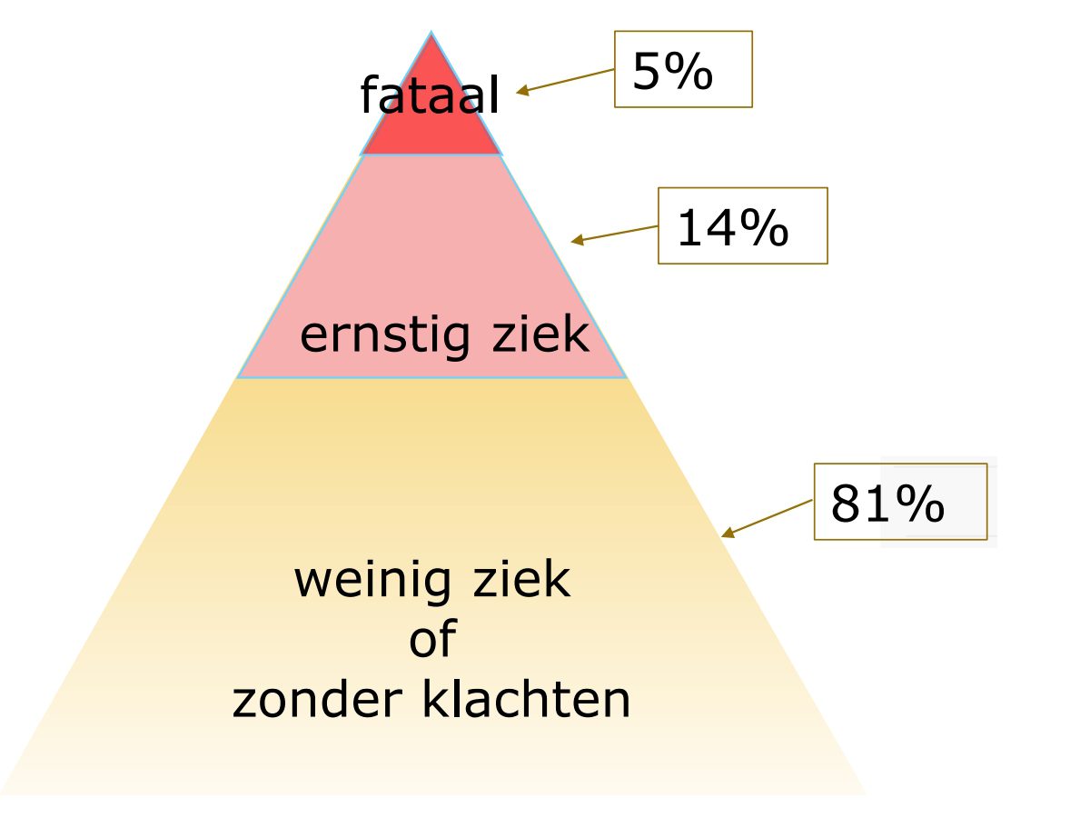 Evaluatie van de Coronamaatregelen: de doelen - 62183