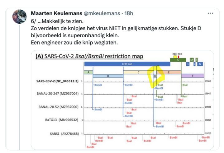 Bewijsvoering ontstaan SARS-CoV-2 in lab - 69902 Bewijsvoering ontstaan SARS-CoV-2 in lab - 69902