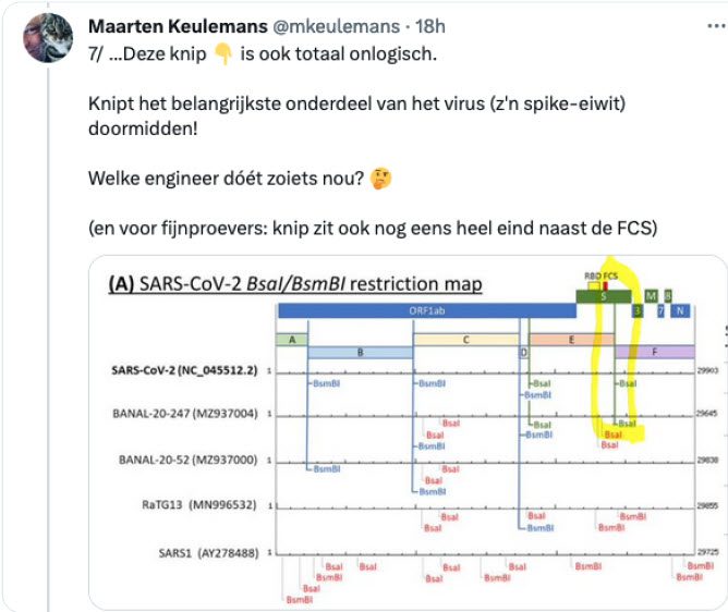 Bewijsvoering ontstaan SARS-CoV-2 in lab - 69903 Bewijsvoering ontstaan SARS-CoV-2 in lab - 69903