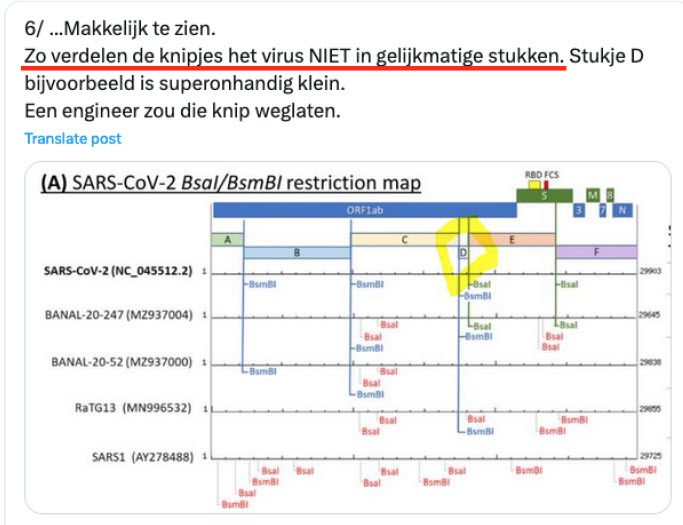 Bewijsvoering ontstaan SARS-CoV-2 in lab - 69906