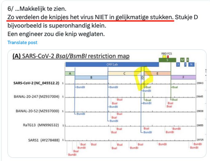 Bewijsvoering ontstaan SARS-CoV-2 in lab - 69906 Bewijsvoering ontstaan SARS-CoV-2 in lab - 69906
