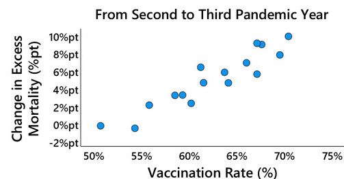 Oorzaak van oversterfte en wetenschappelijk struisvogelgedrag - 112820